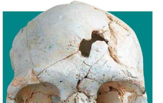 En eski cinayet 430 bin yıl önce işlenmiş