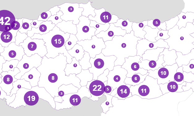 2016 yılı Kadın Cinayetleri Haritası