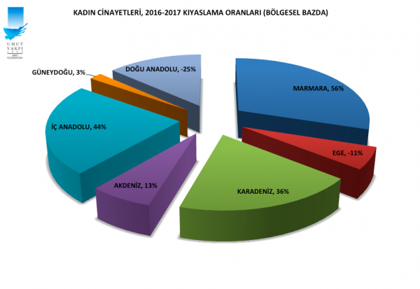 Kadın Cinayetleri 2016-2017 kıyaslama (çeşitli renk)