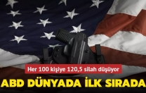 Her 100 kişiye 120,5 silah düşüyor