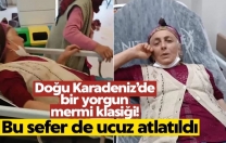 Karadenizlilerin Yorgun Mermi Kabusu