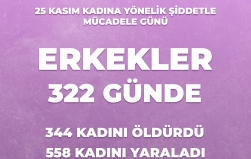 Erkekler 322 günde en az 344 kadını katletti!