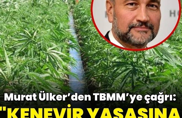 Vahşet…